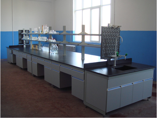 斯科讷实验室家具成功案例-重庆基拯医学检验所有限公司